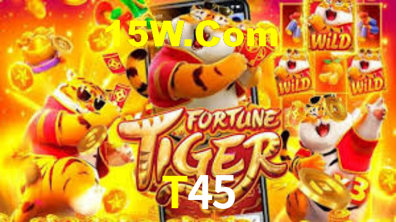 T45,T45.Com